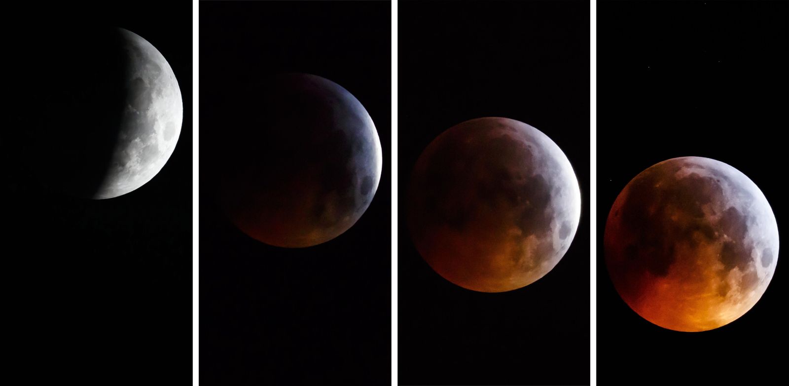 Así ha visto el mundo el eclipse lunar