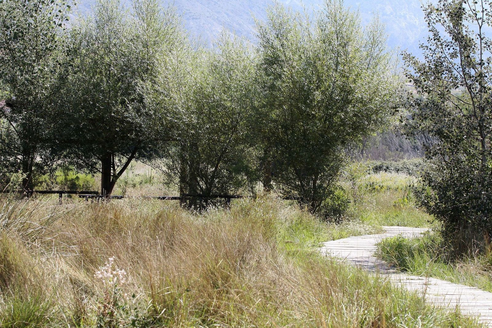 Los humedales permanecieron desecados desde el XVII al XXI.