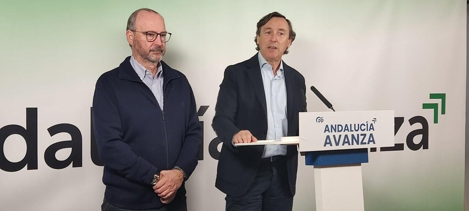 Los senadores del PP por Almería, Luis Rogelio Rodríguez-Comendador y Rafael Hernando