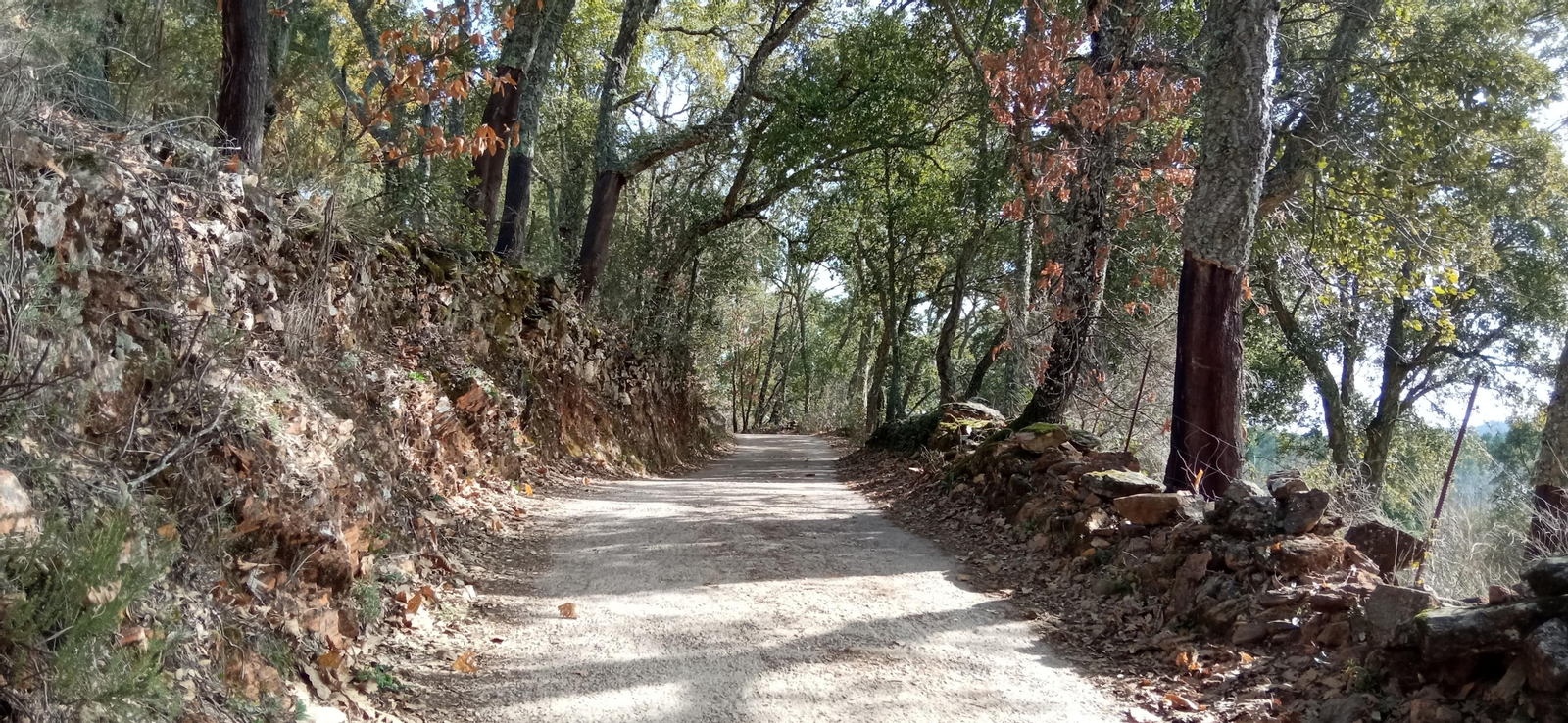 Las imágenes de la ruta de la Dehesa de Valdelama: De Los Marines a Fuenteheridos y vuelta