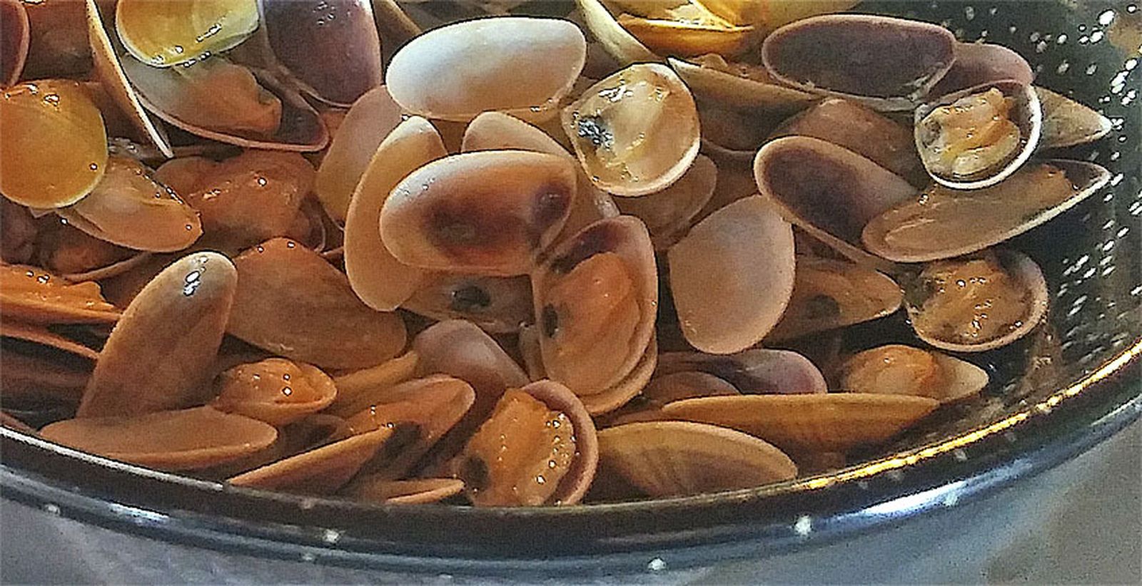 Casa Mané - Palmones