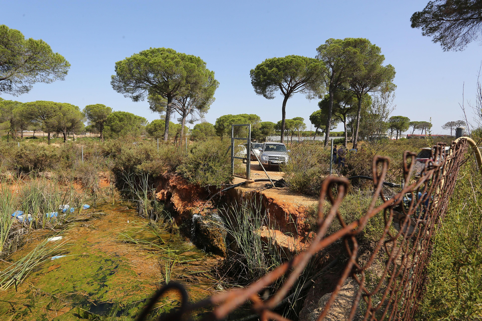 Imágenes de los agricultores haciendo guardia en los pozos de Lucena