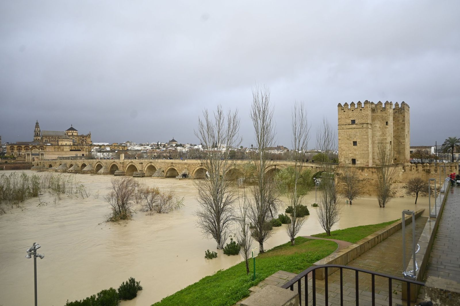 El río Guadalquivir supera los cuatro metros de altura a su paso por Córdoba, en imágenes