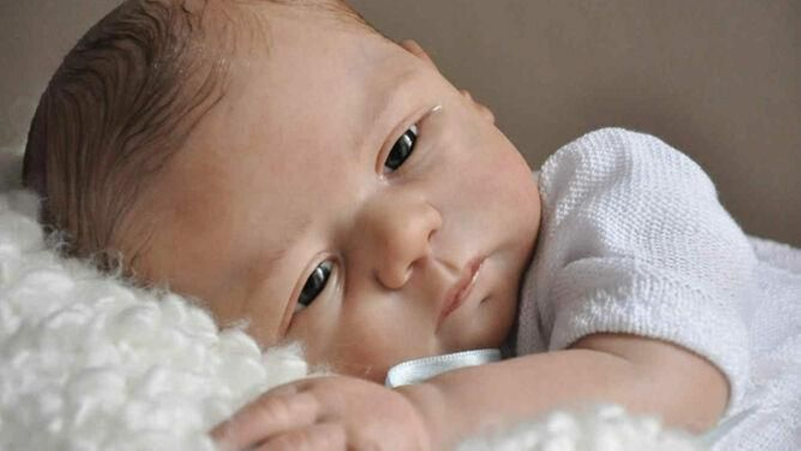 Un muñeco “Reborn”