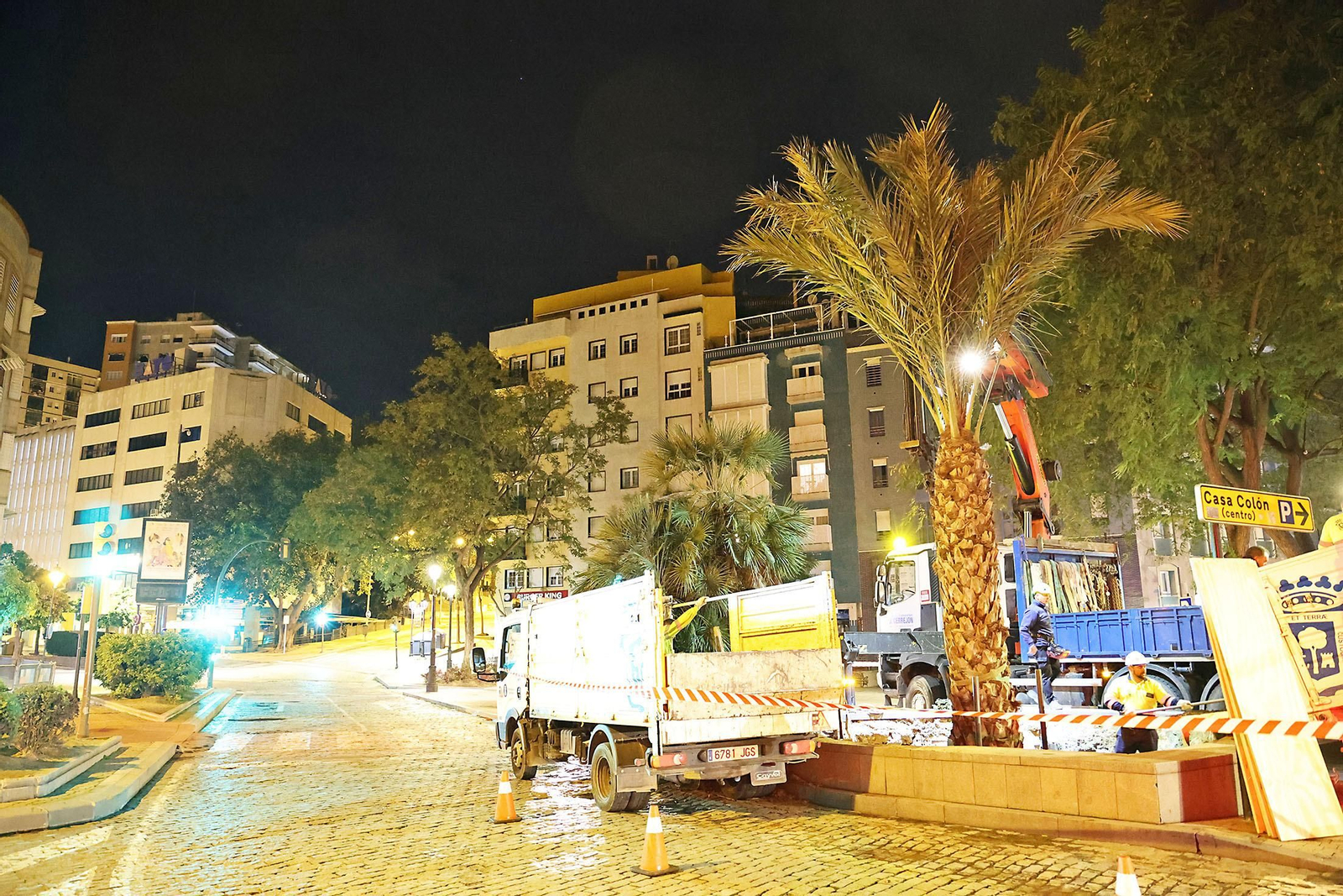 Las mejores imágenes de la plantación de la nueva palmera de Huelvaga