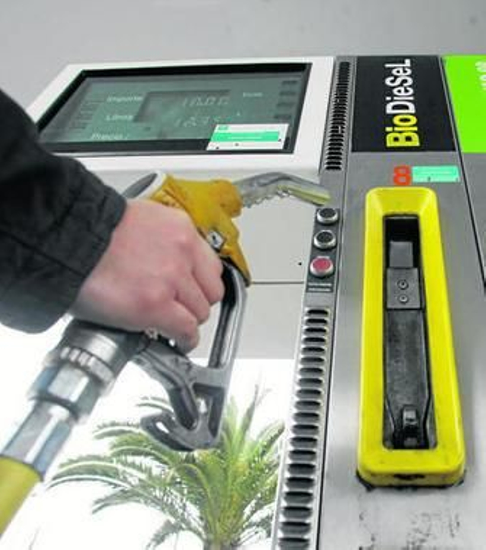 Un usuario descuelga un surtidor de biodiésel en una gasolinera de San Roque.