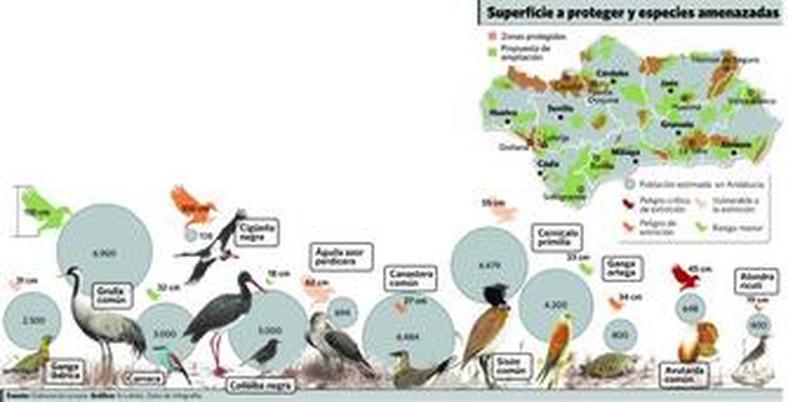 Las aves reclaman más tierra
