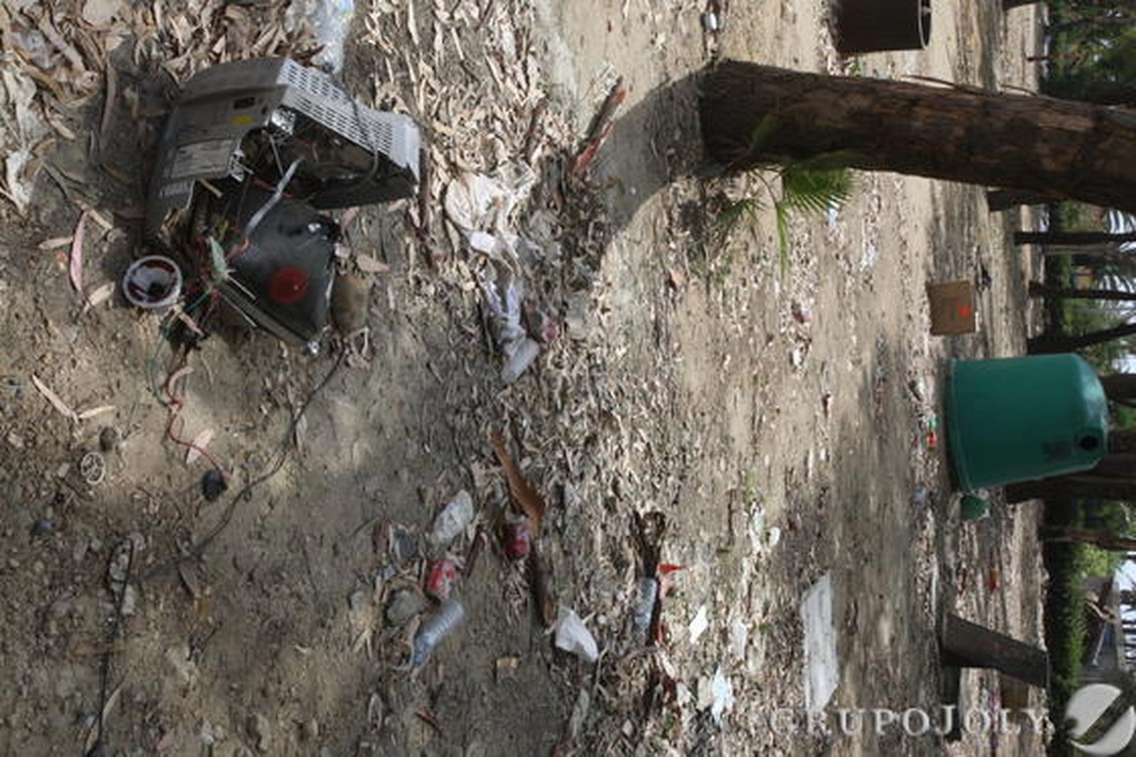 Chatarra y basura frente a los árboles del parque.

Foto: Paco Guerrero