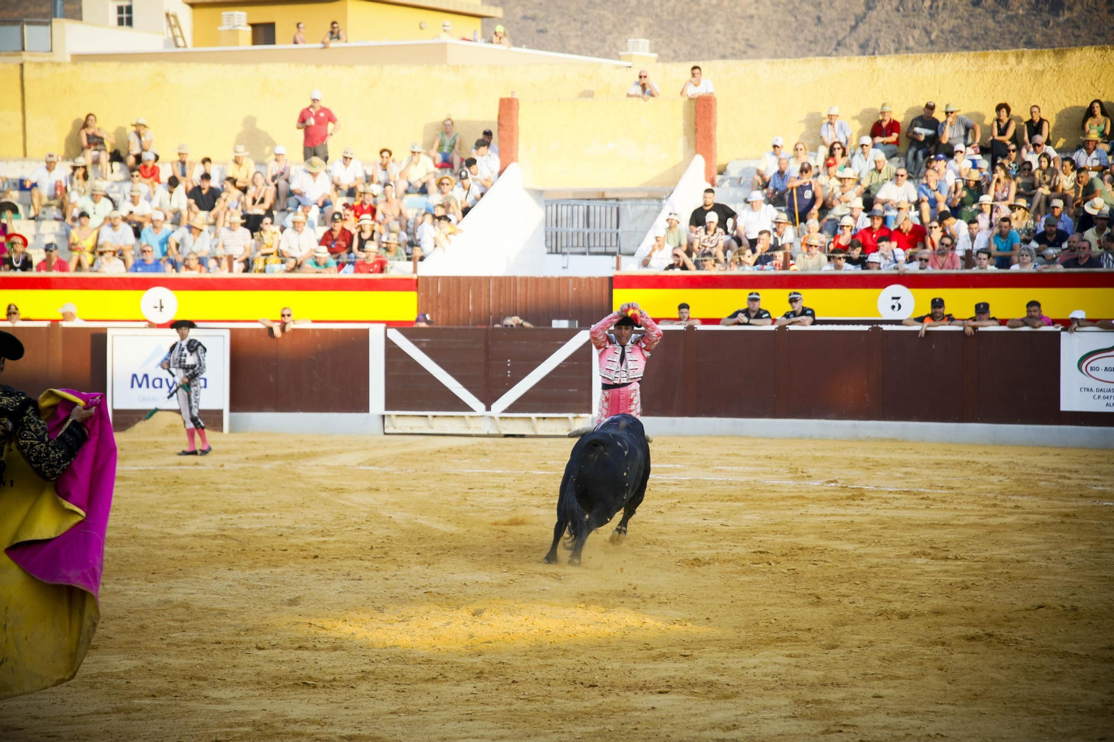 Corrida de toros Berja con un toro indultado, en imágenes