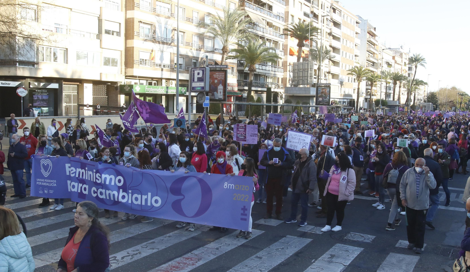 La manifestación del 8M en Córdoba, en fotografías