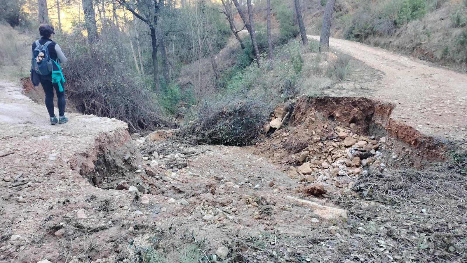 Estado de uno de los caminos de acceso al cortijo de Francisco Javier González.