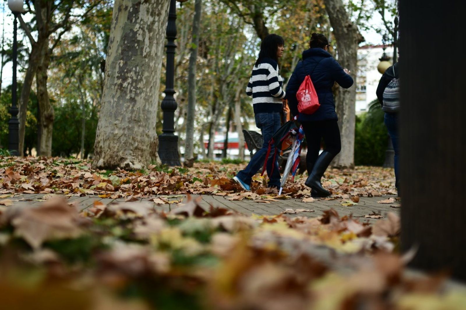 El rastro del otoño en Córdoba