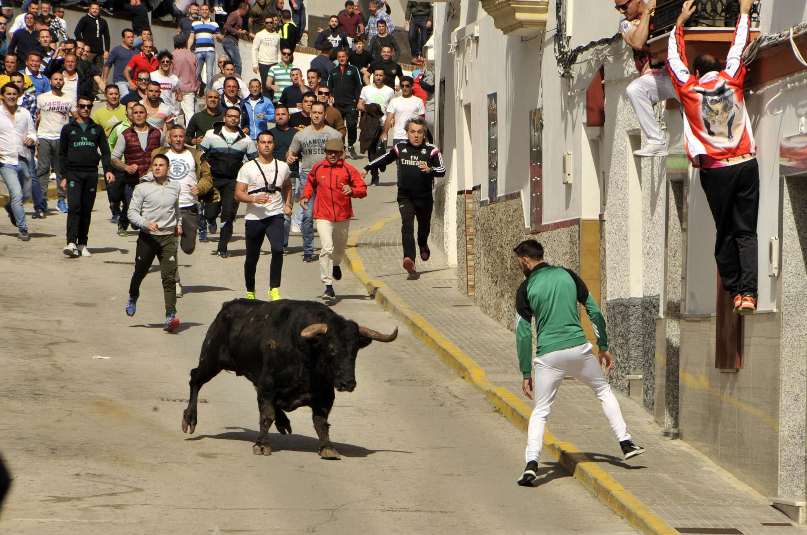 Imágenes del Toro del Aleluya en Arcos