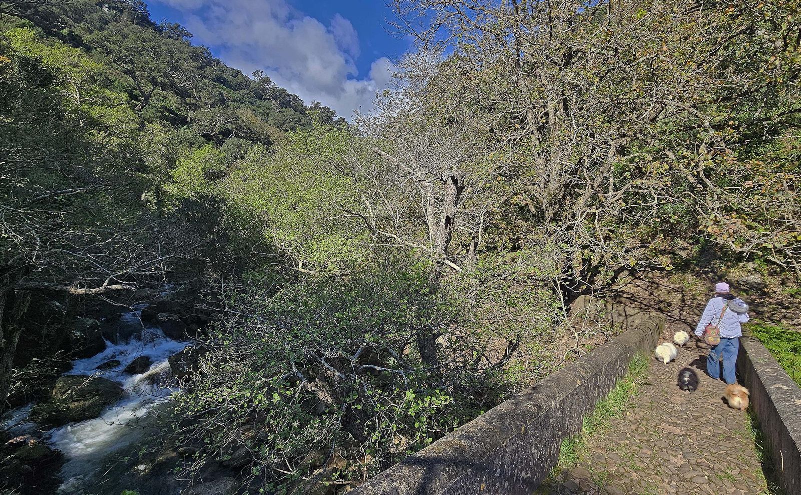 Fotos del río de la Miel tras las borrascas de marzo