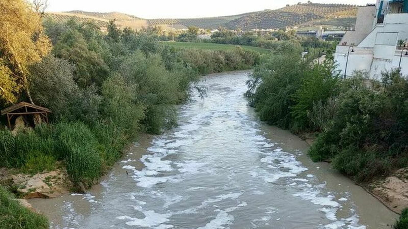 Río Genil, a su paso por Puente Genil.