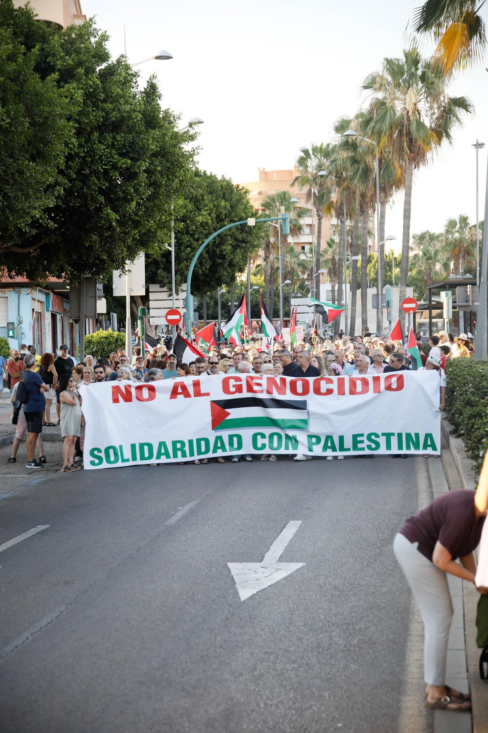 Imágenes de la manifestación en Almería por el genocidio en Palestina