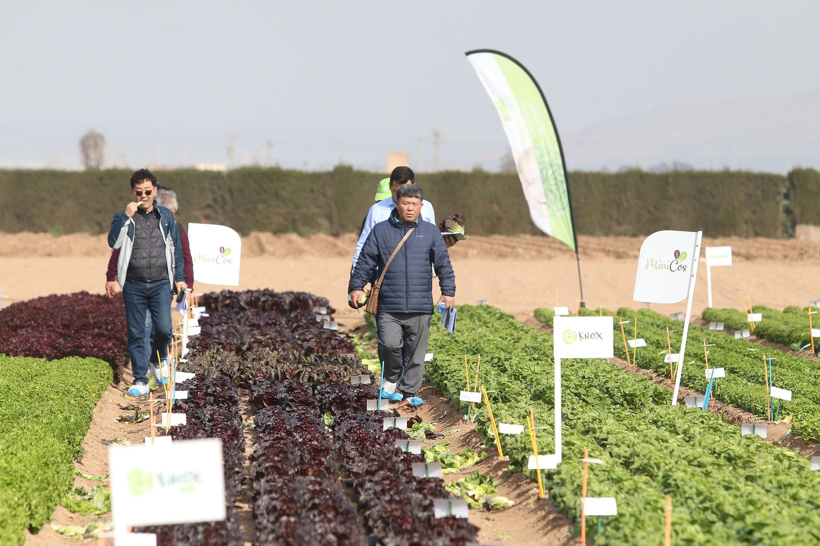 Fotogalería de las jornadas de puertas abiertas de Rijk Zwaan en Cartagena