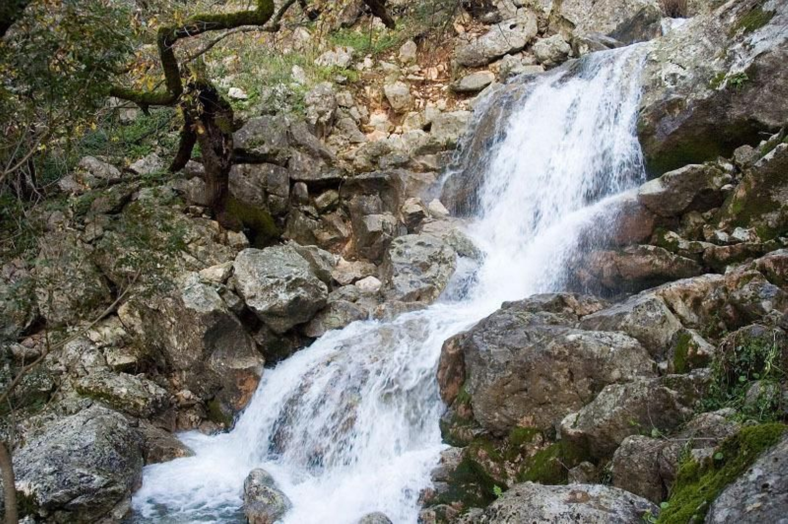 Fuentes del río Hondón Fuentes del río Hondón