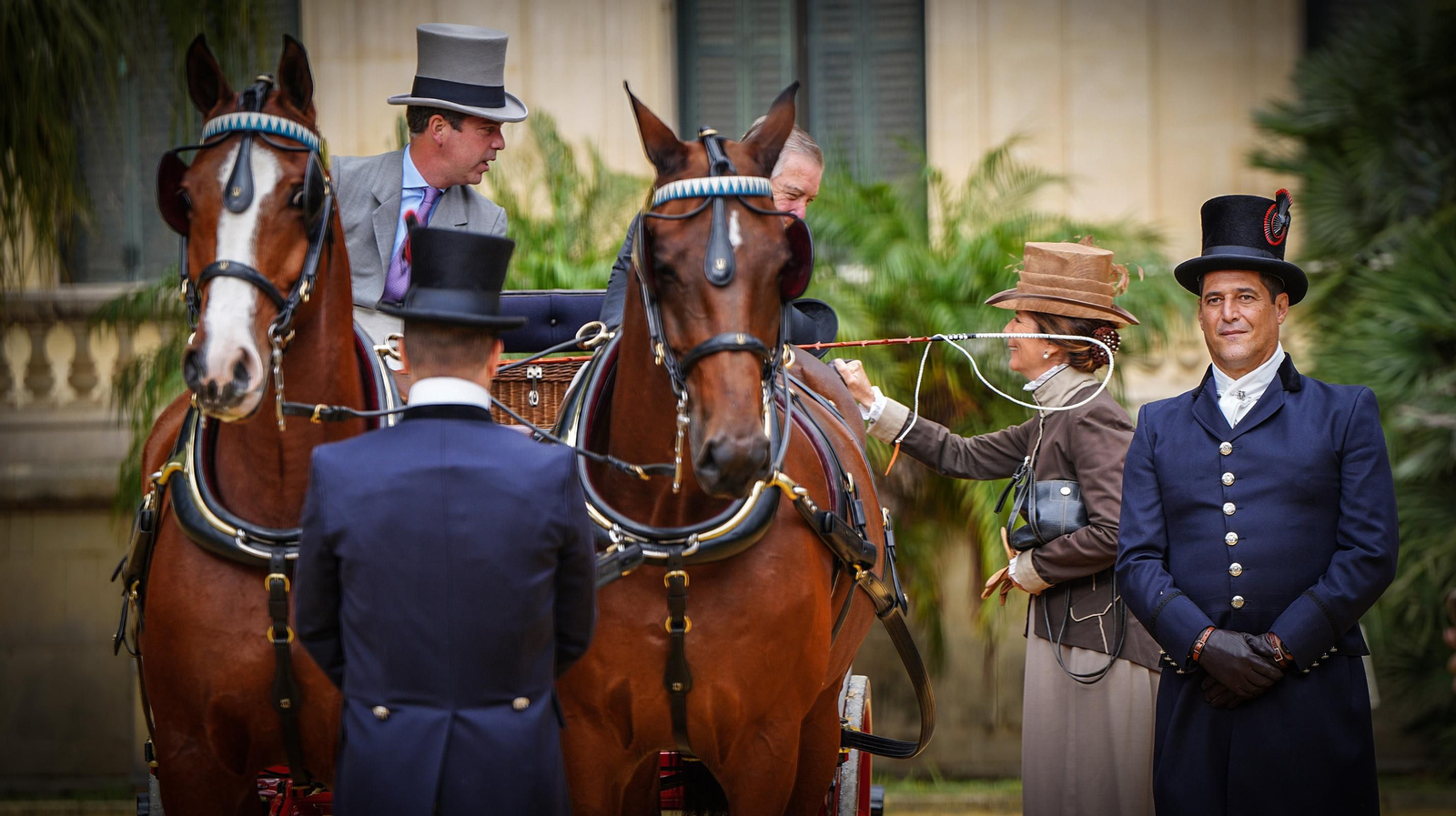 VI Concurso Internacional de Atalaje de Tradición en Jerez
