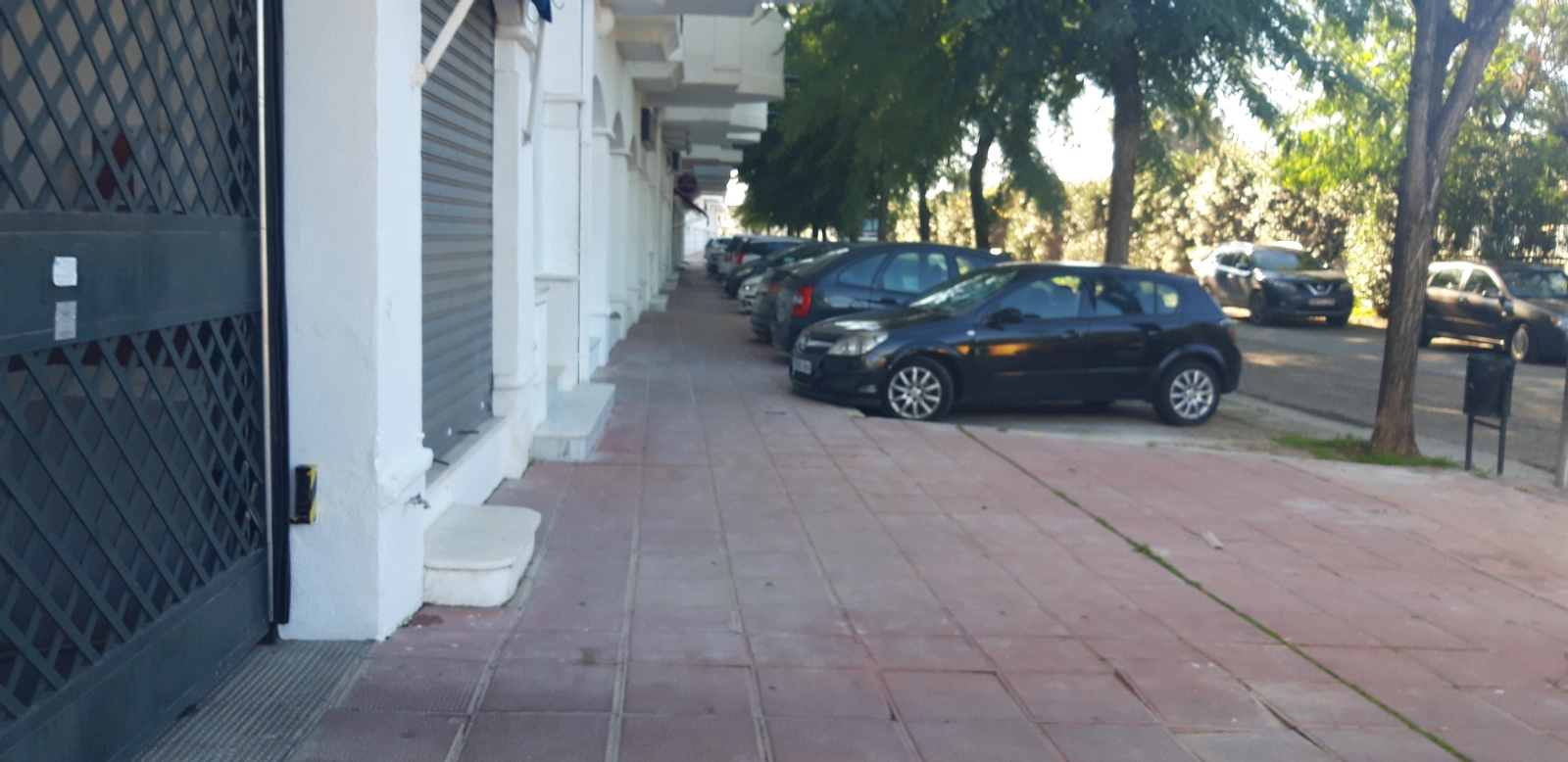 Ruta por la ribera del Guadalquivir entre Sevilla y Coria del Río