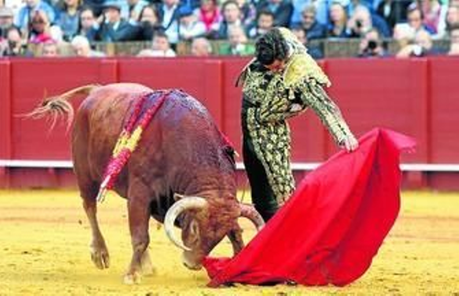 Morante de la Puebla, en un natural al cuarto toro, 'Dudosito', de Núñez del Cuvillo, al que desorejó.