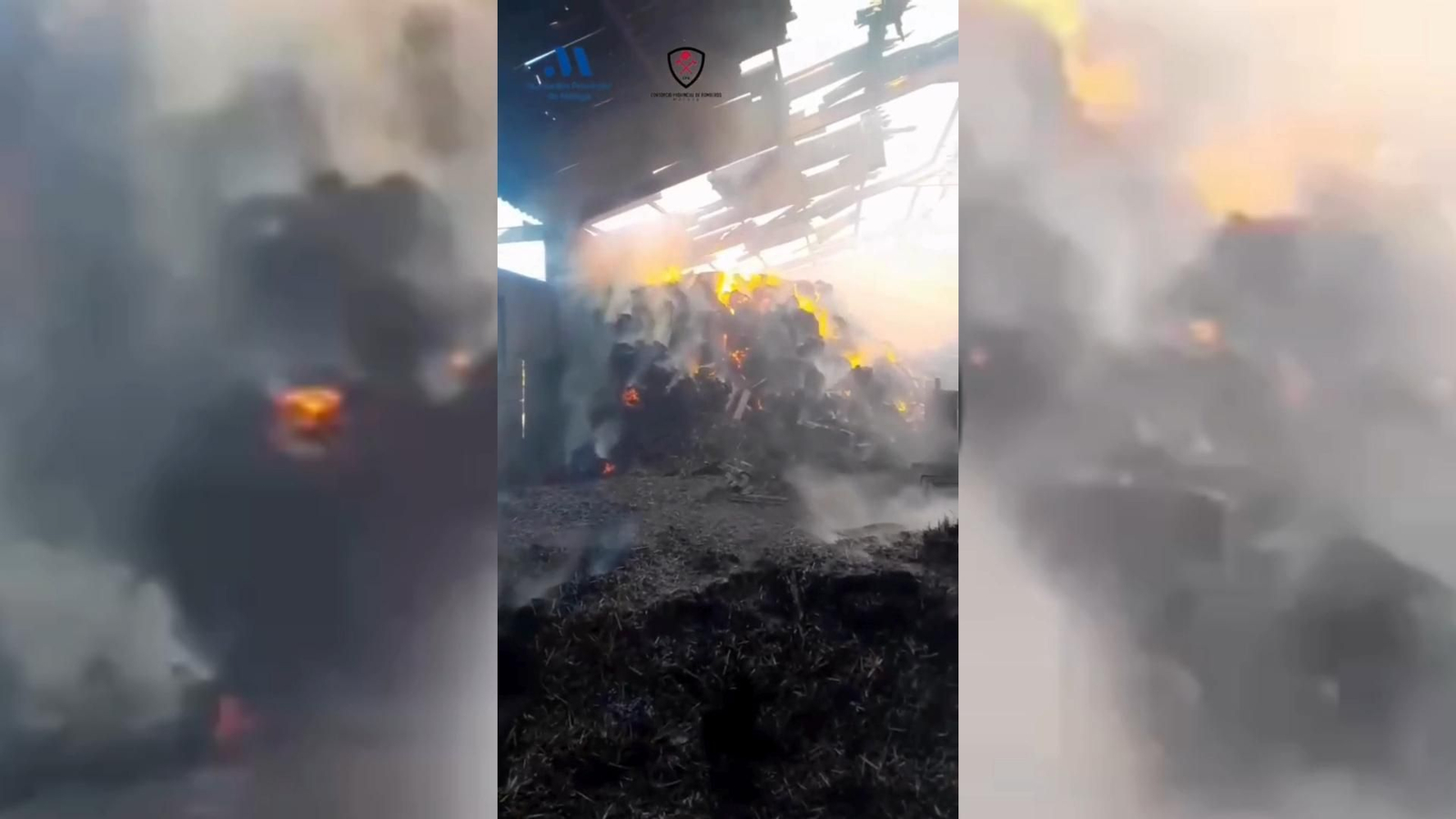 Así intervinieron los bomberos en un incendio de una nave ganadera en Cañete La Real