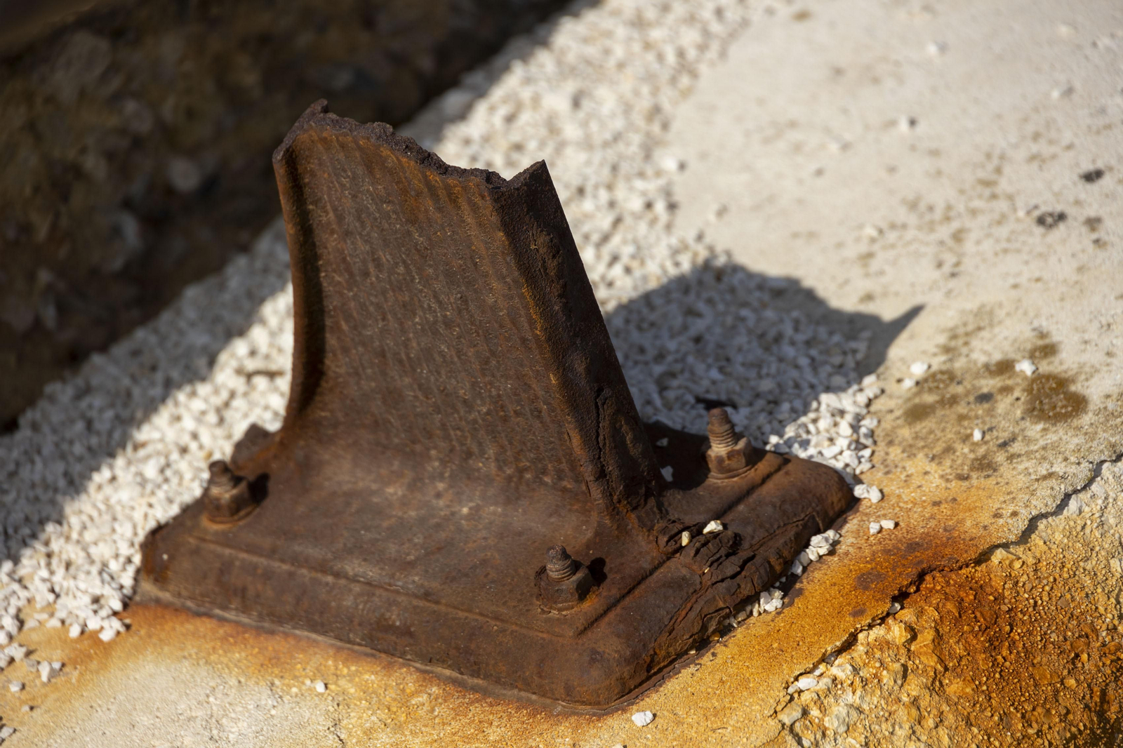 Las imágenes del mal estado de los paseos de Cádiz