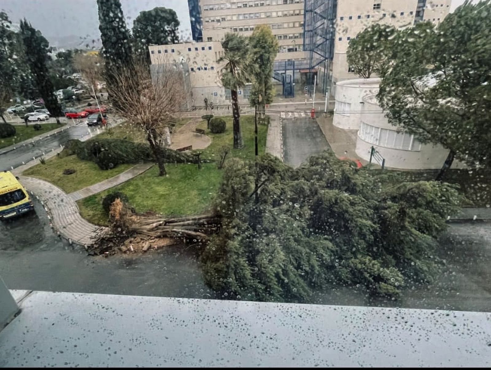 WhatsApp Image 2026-01-28 at 15.53.43