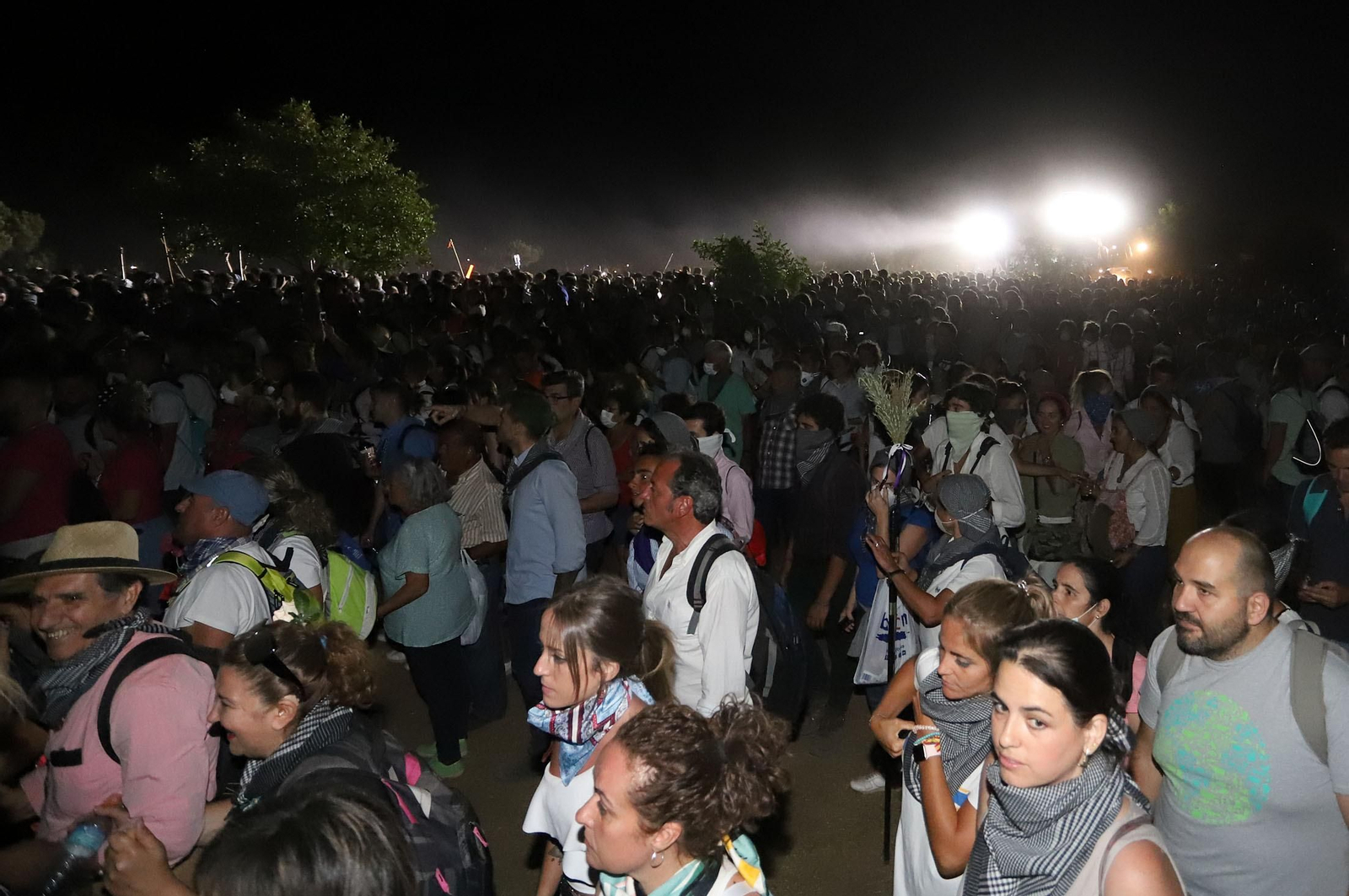 Recuerda las imágenes de la Venida de la Virgen del Rocío a Almonte en 2019