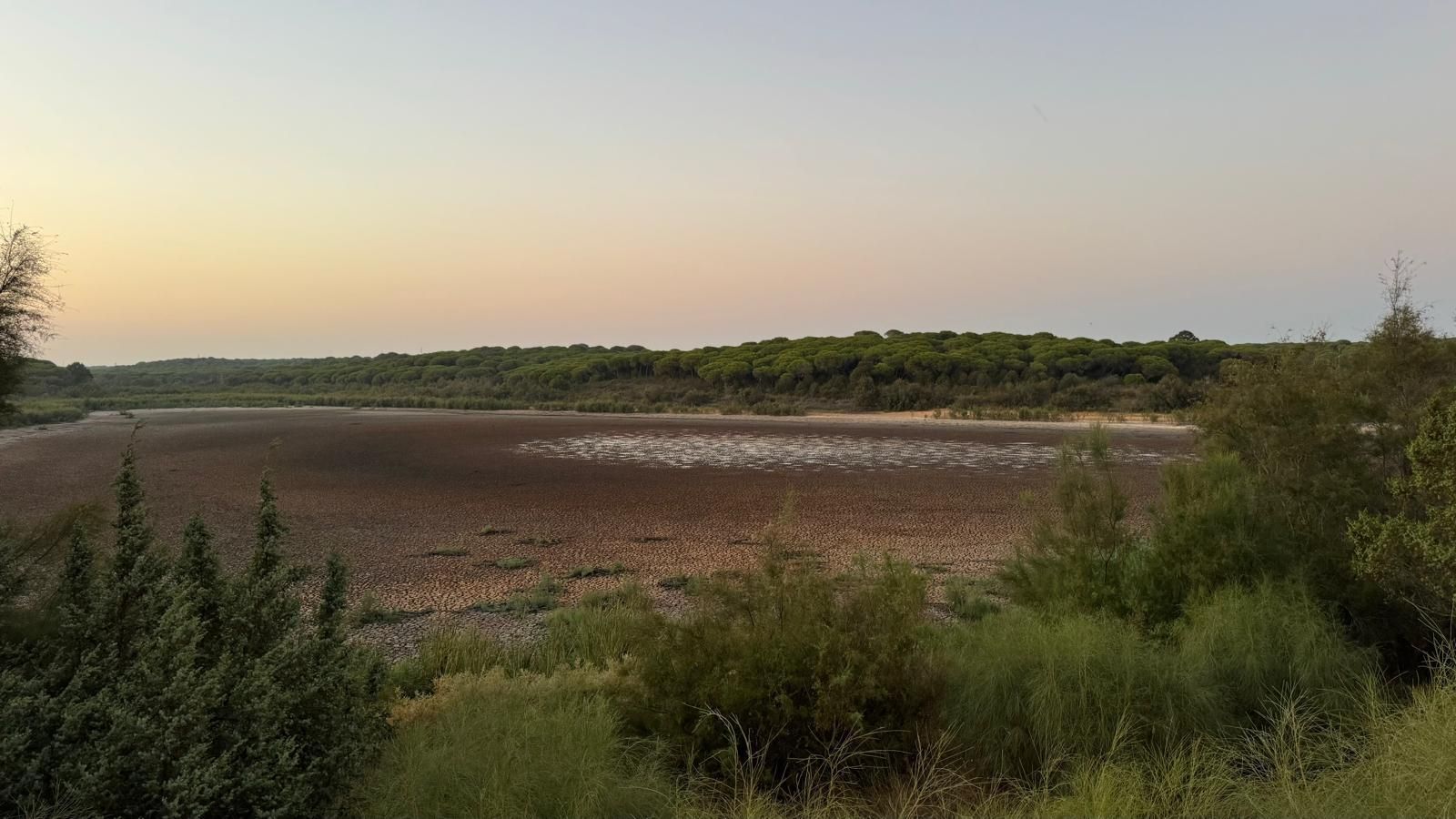 La Laguna del Portil se seca. La Laguna del Portil se seca.