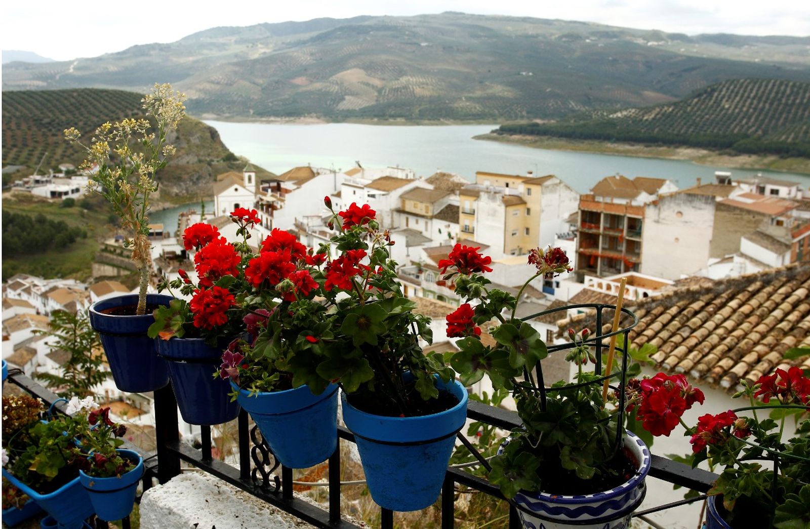 Paisaje de Iznájar.