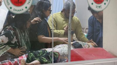 Alerta en India por un brote del letal virus Nipah: la OMS vigila el riesgo  de posible pandemia mundial