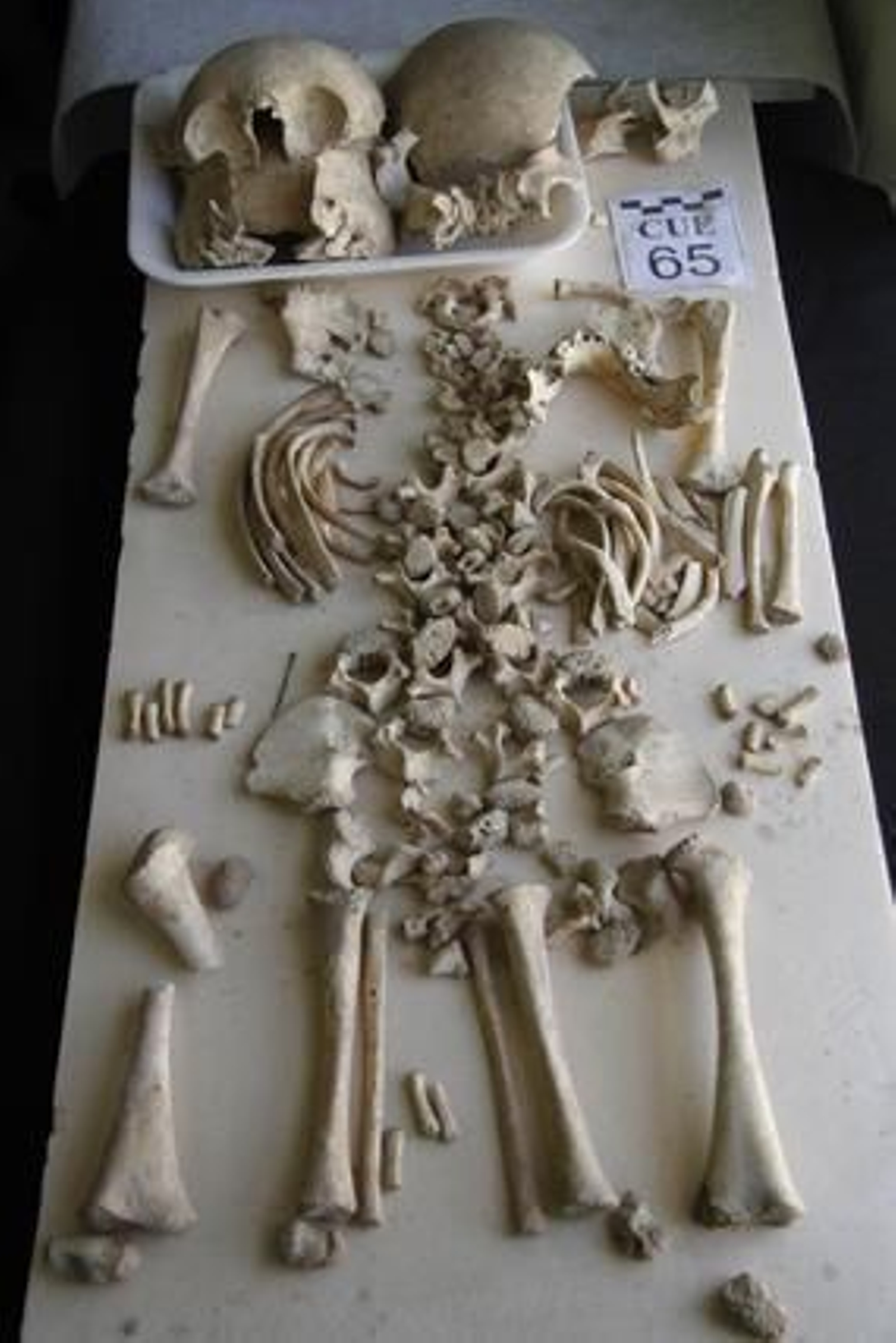 Foto: Victoria Hidalgo