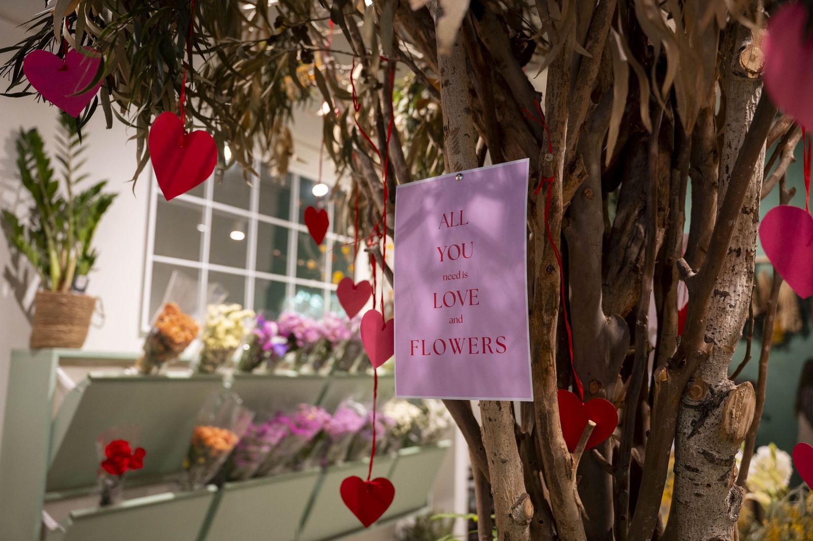 Tres comercios del centro de Almería lanzan un sorteo especial por San Valentín