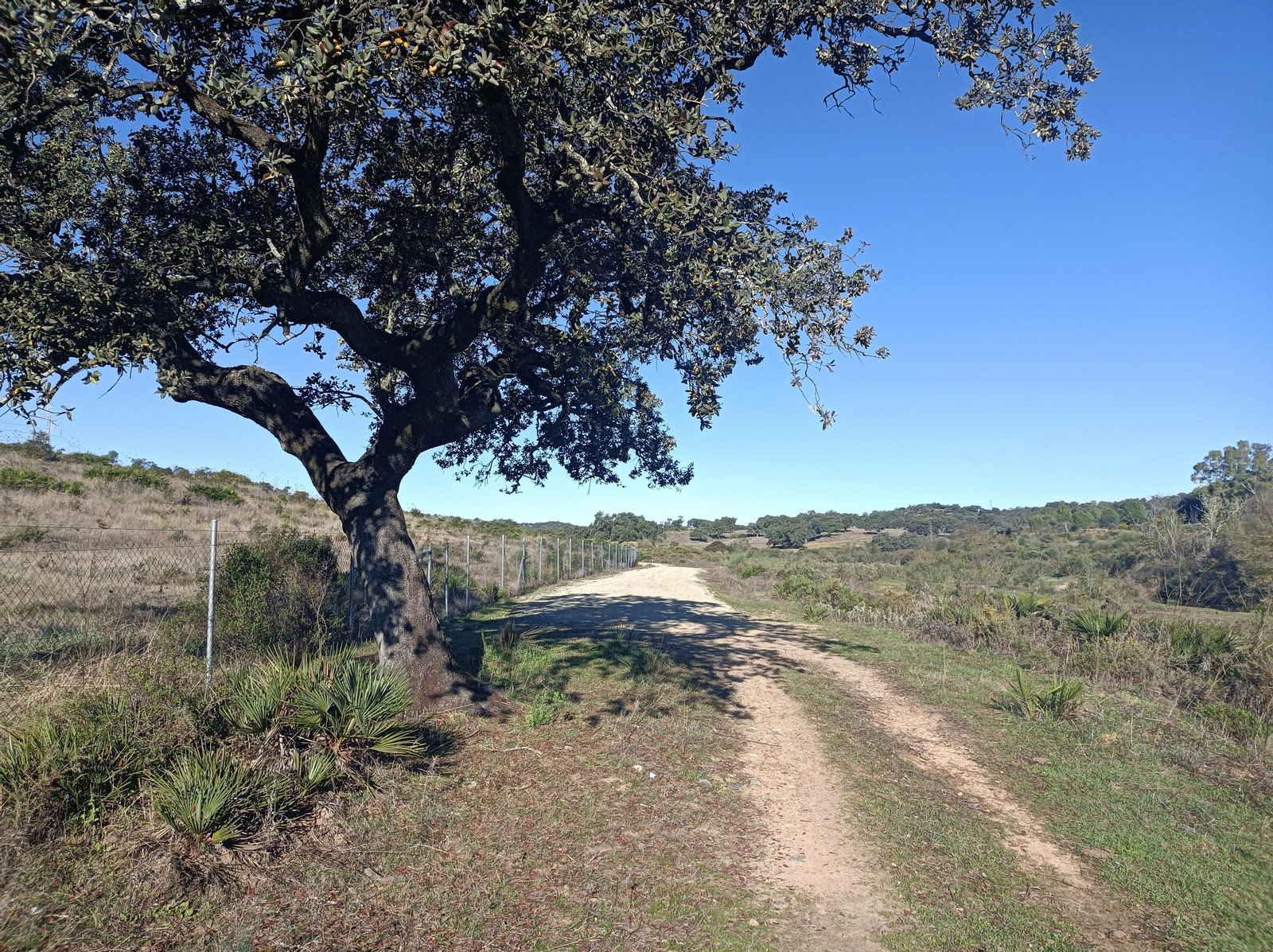 Ruta de Las Cañadillas