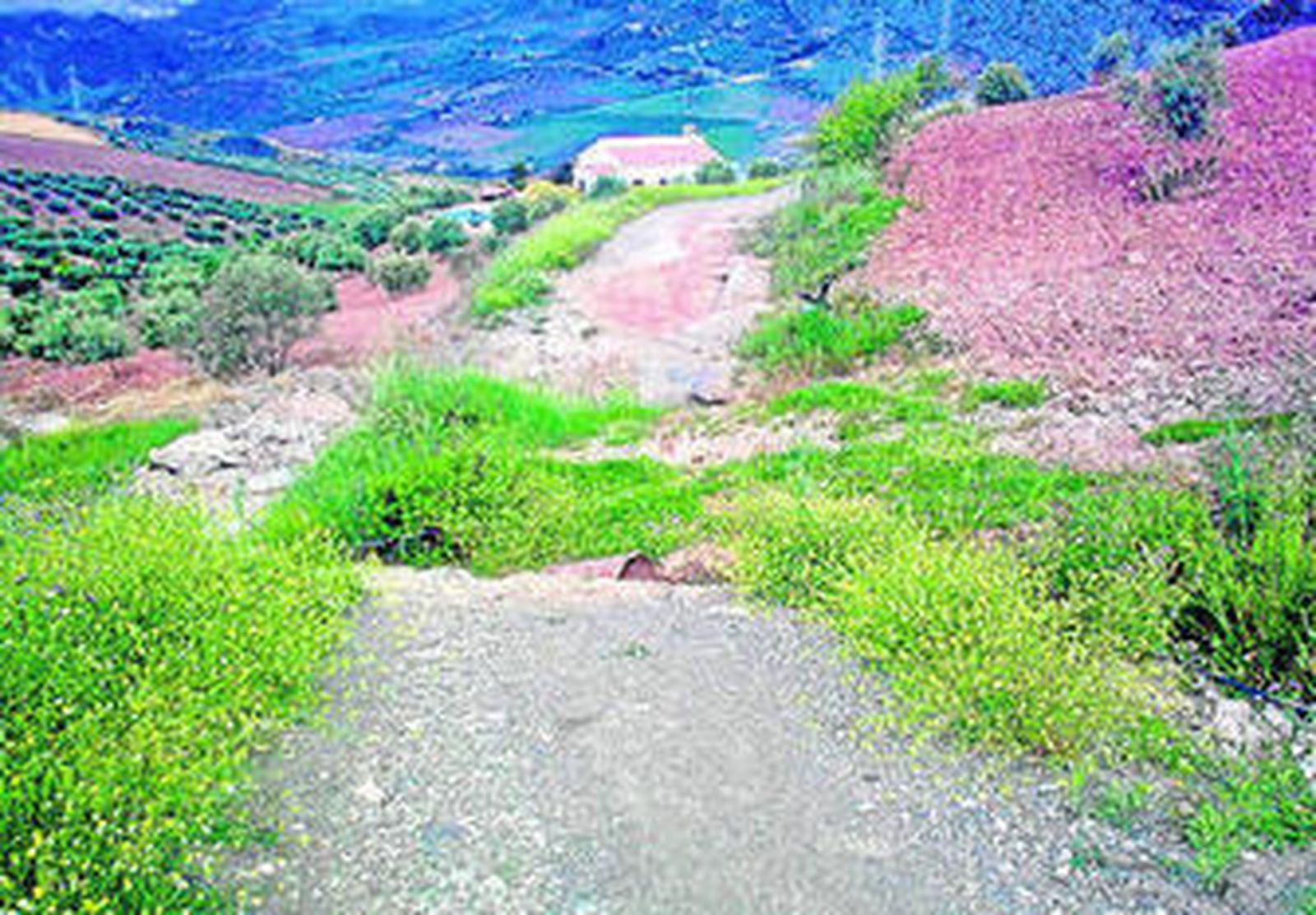 Estado en el que se encuentran los caminos.