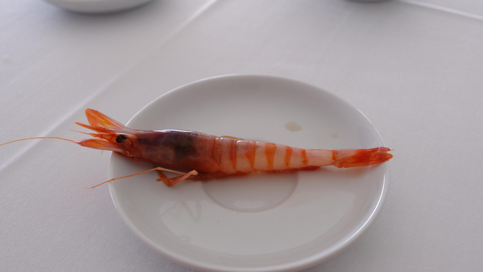 Taller gastronómico de la Gamba Roja de Almería, en imágenes