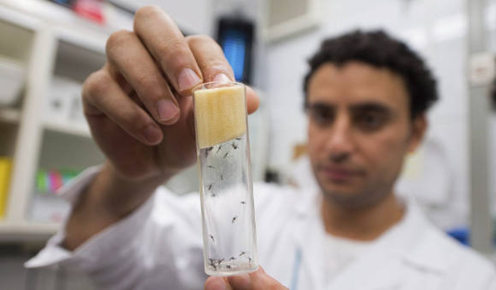 Google dona un millón de dólares a Unicef para frenar el zika en Latinoamérica