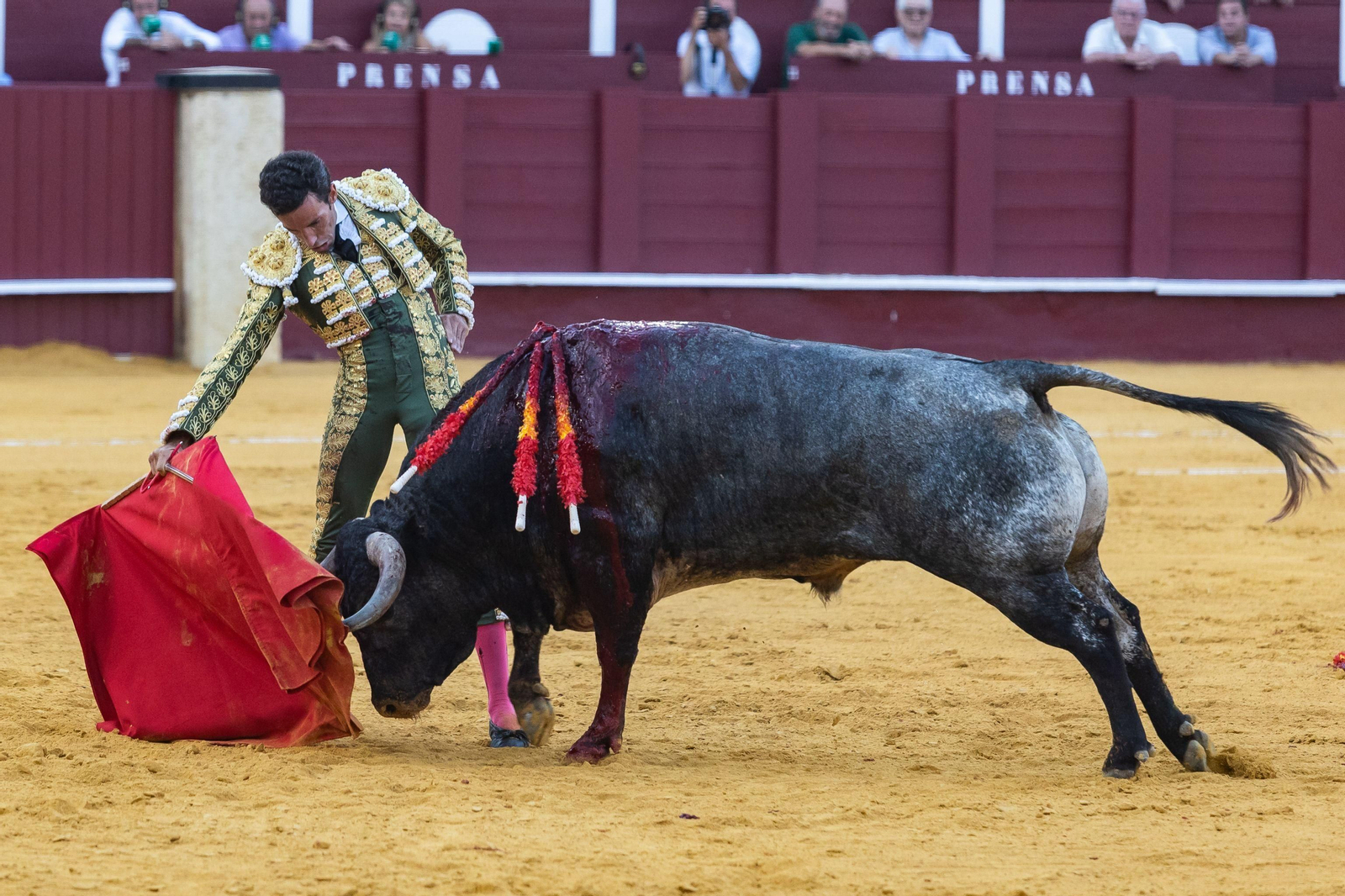 David de Miranda ante el toro que ayer le hirió en La Malagueta