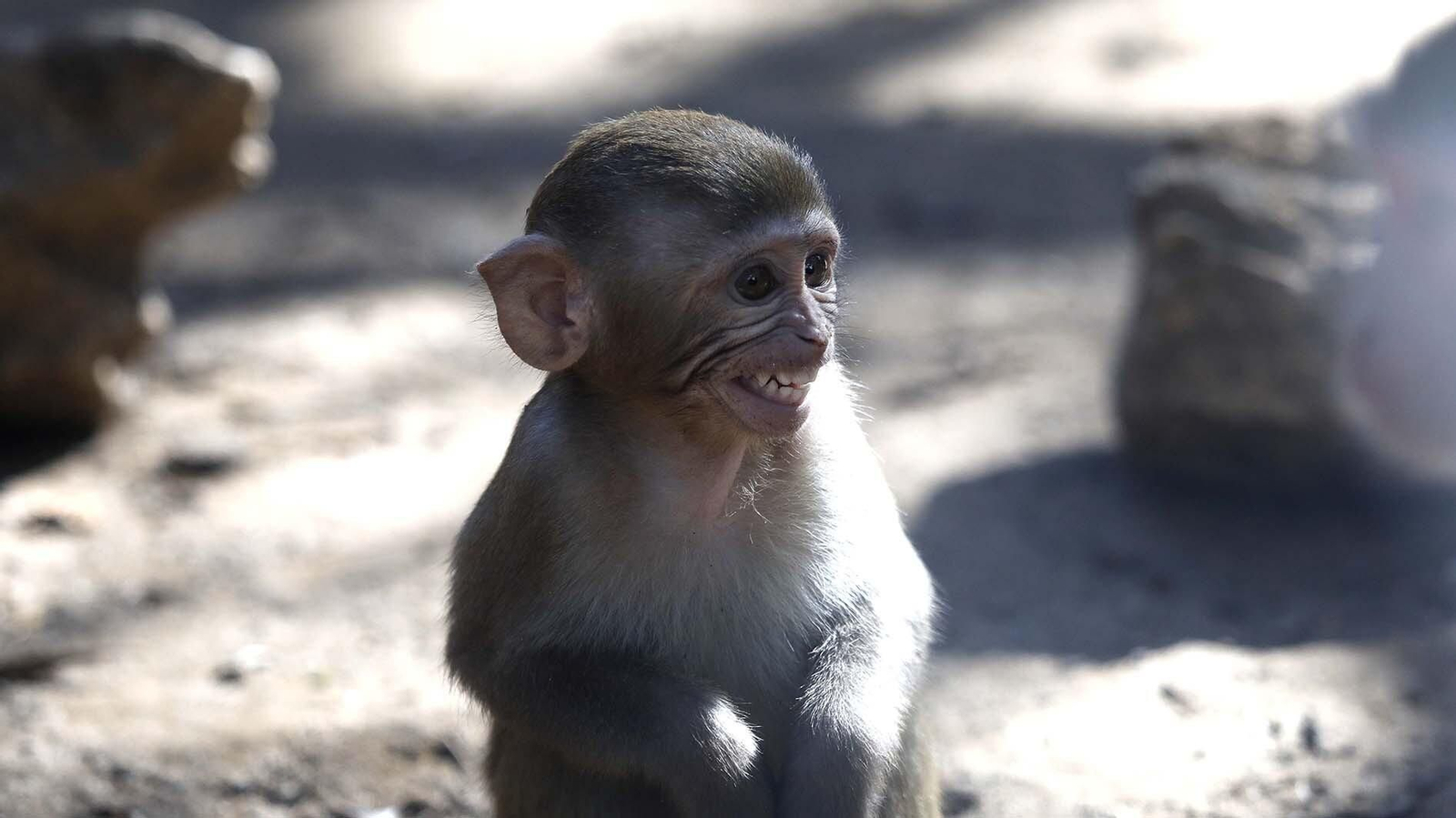 Las fotos del Zoo de Castellar de la Frontera