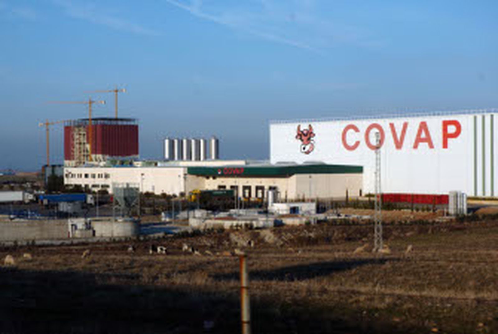 Ovipor y Covap suman 325 millones de euros y 16.000 socios ganaderos