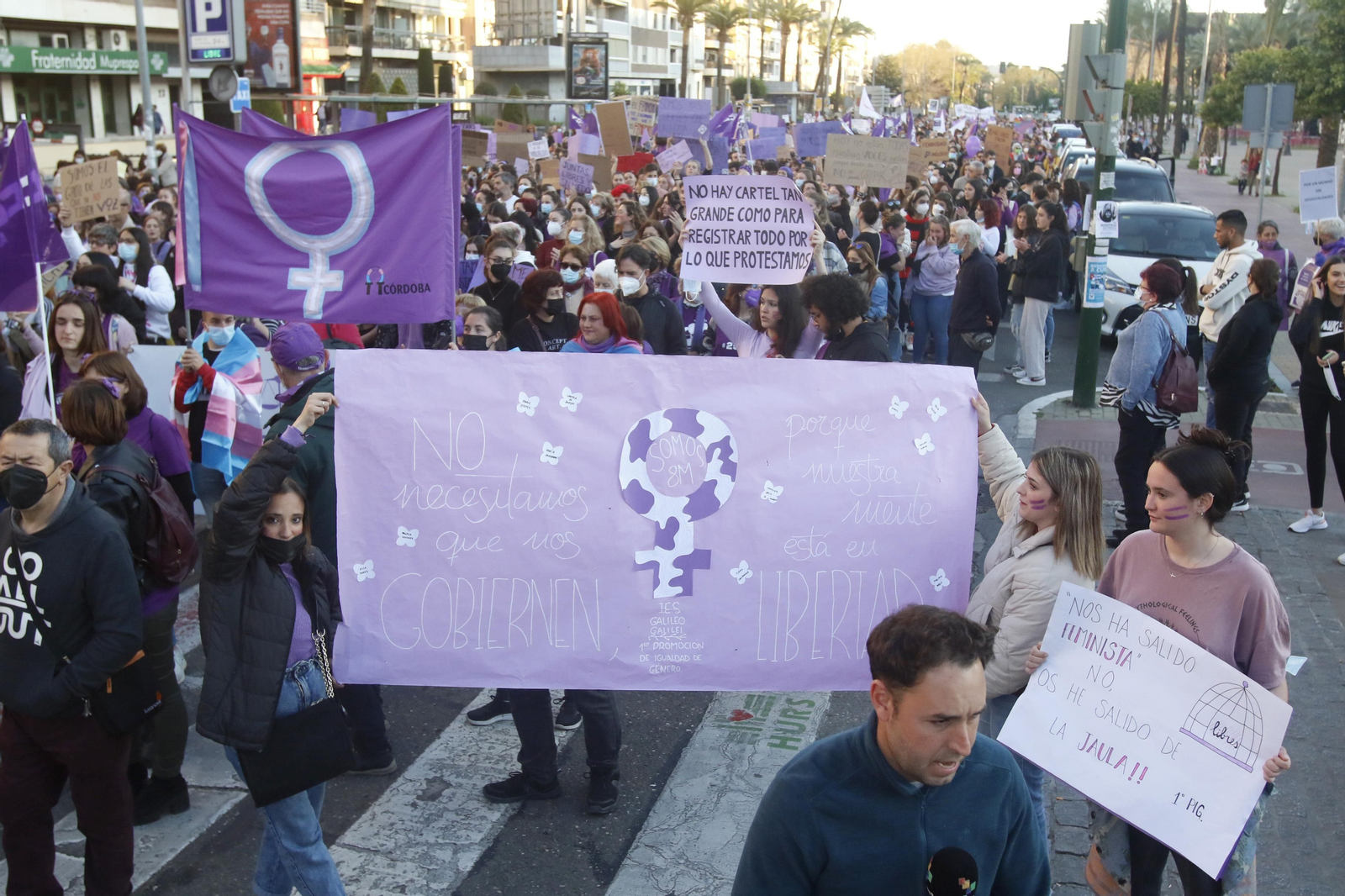 La manifestación del 8M en Córdoba, en fotografías