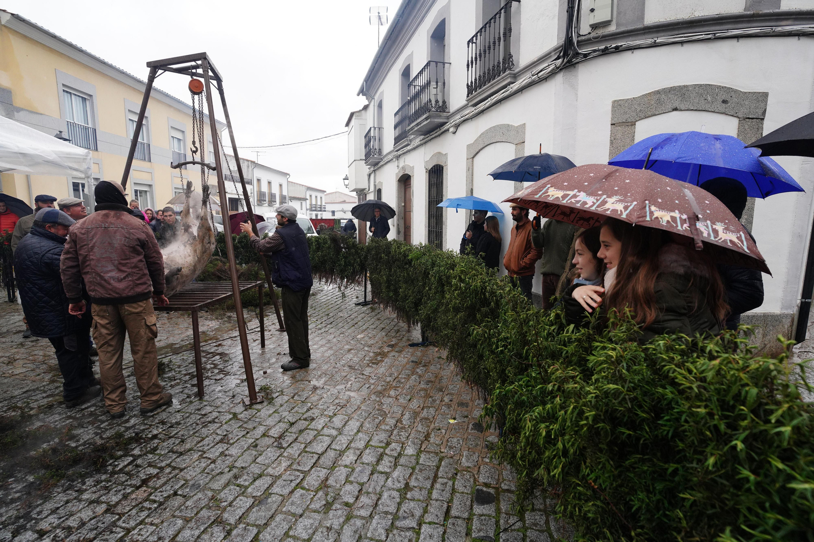 La Fiesta de la Matanza de Alcaracejos, en imágenes