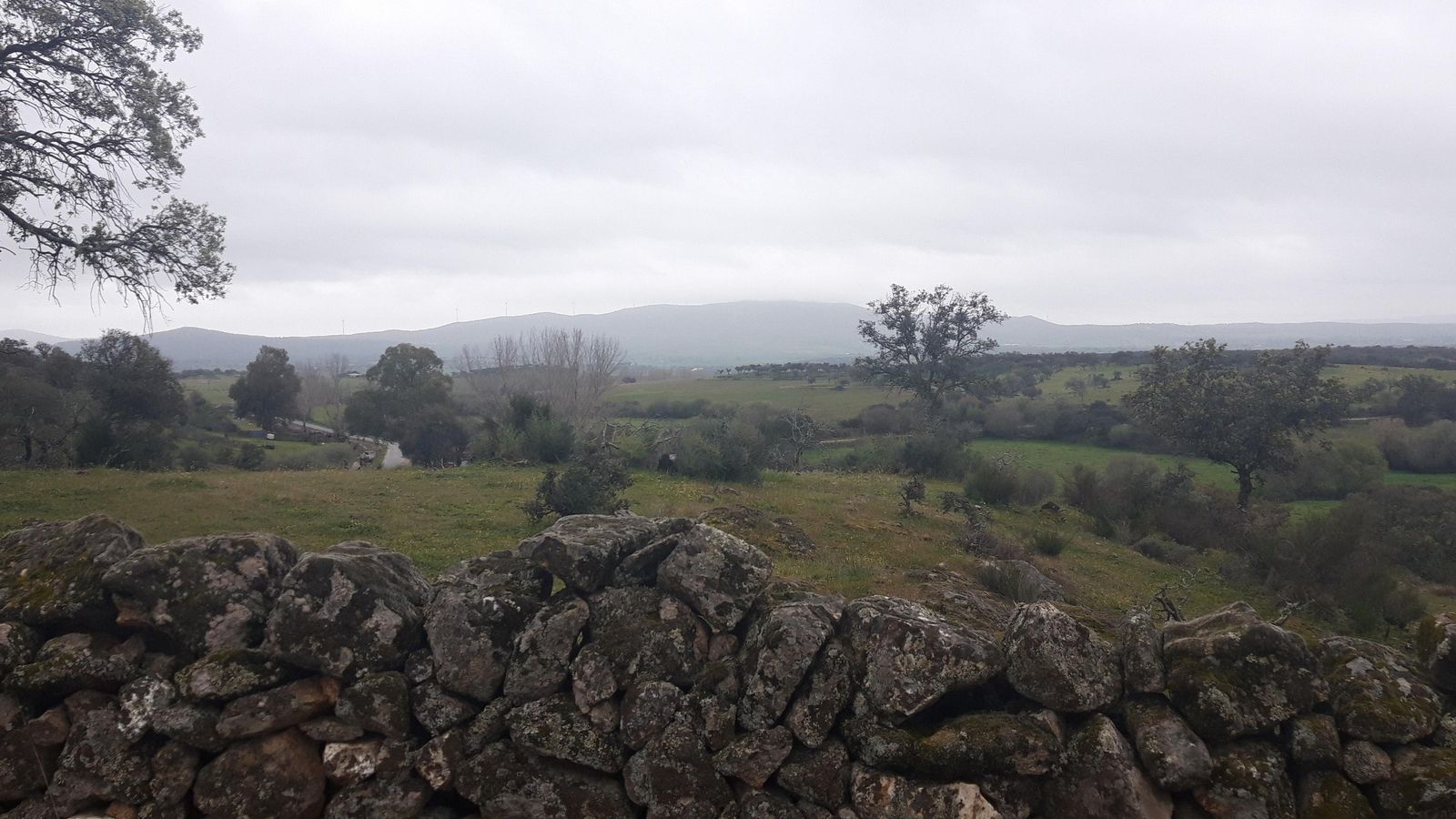 Ya empezamos a ver montañas al fondo. En la próxima etapa las cruzaremos.