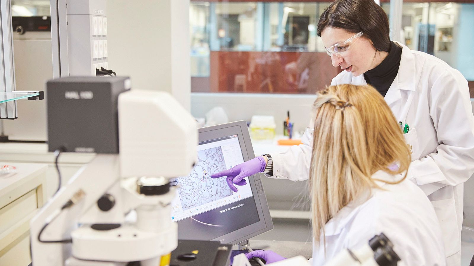 Al eliminar la combustión y la producción de humo, los niveles de sustancias químicas nocivas generadas se reducen significativamente