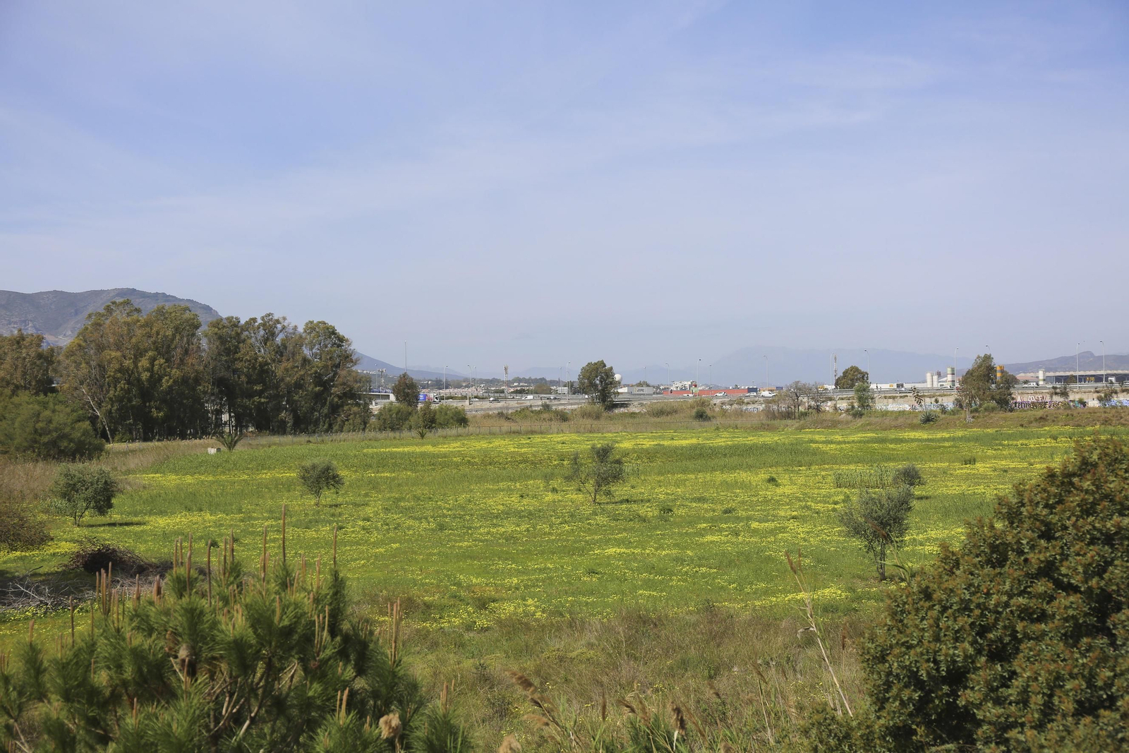 La puerta de Occidente
