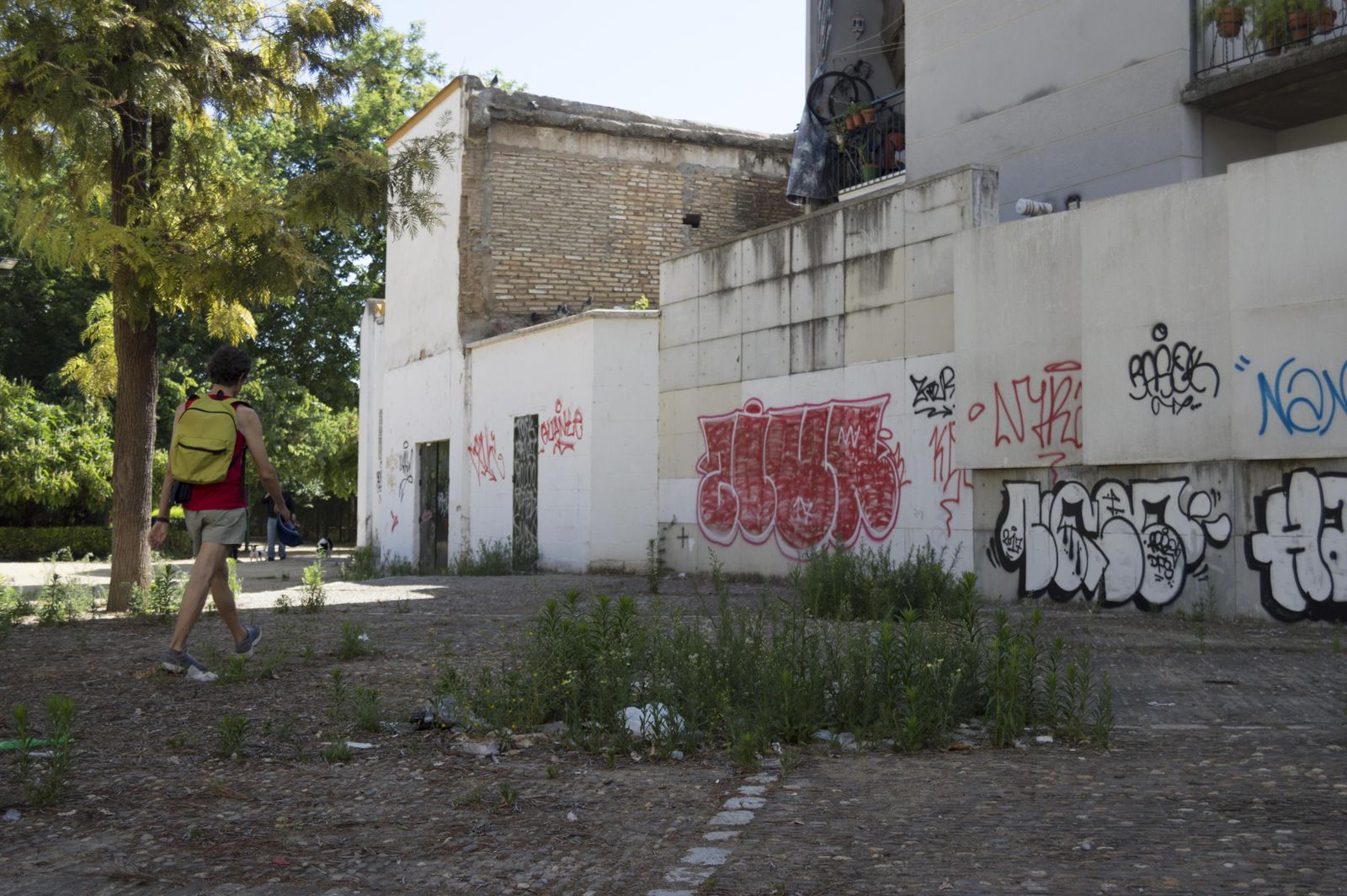 El estado de los Jardines del Valle, en imágenes