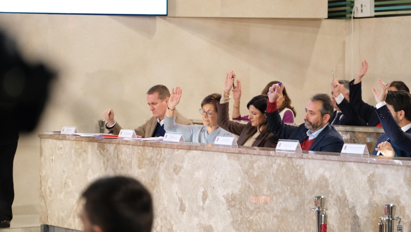 Imágenes del Pleno del Ayuntamiento de Almería