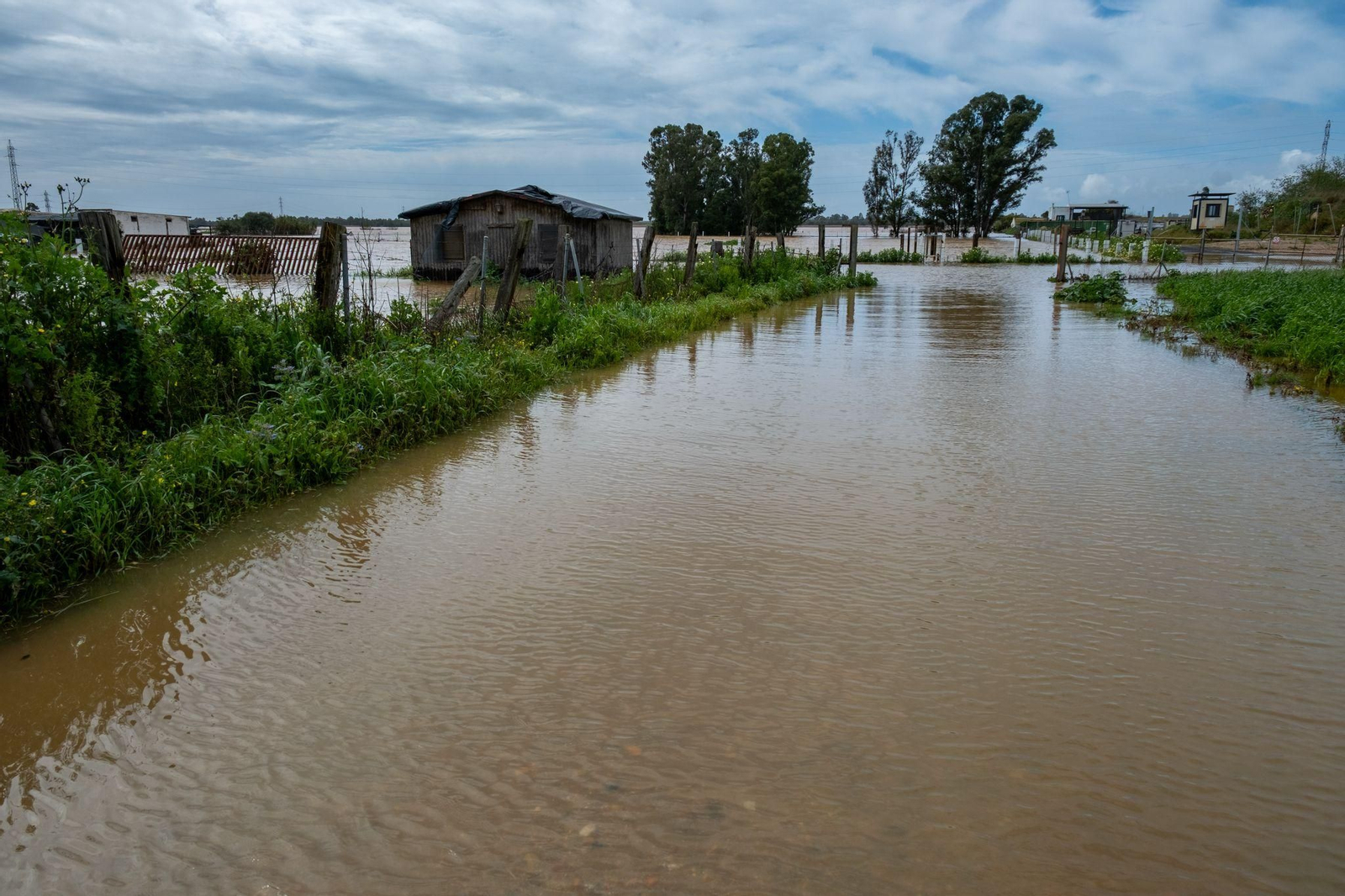 Imágenes de las inundaciones en Gibraleón por la borrasca Laurence este lunes