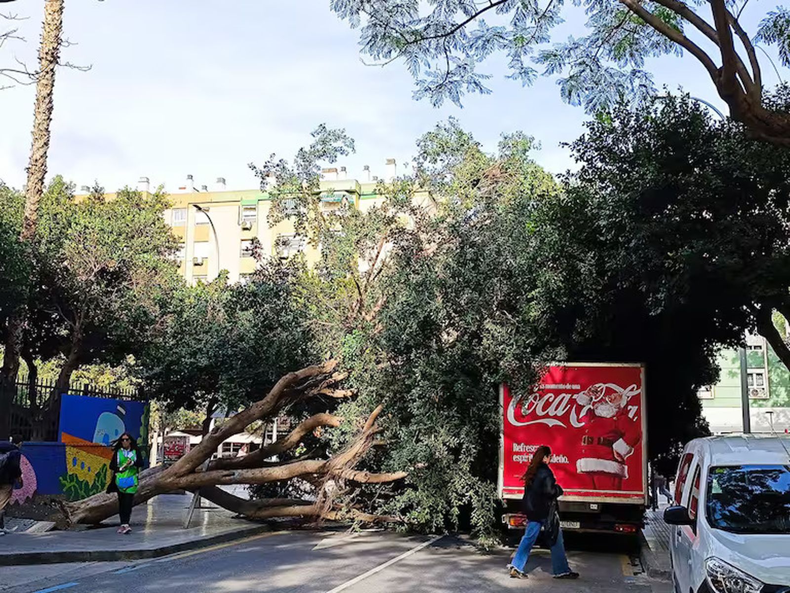El árbol de grandes dimensiones caído este jueves en Huelin.